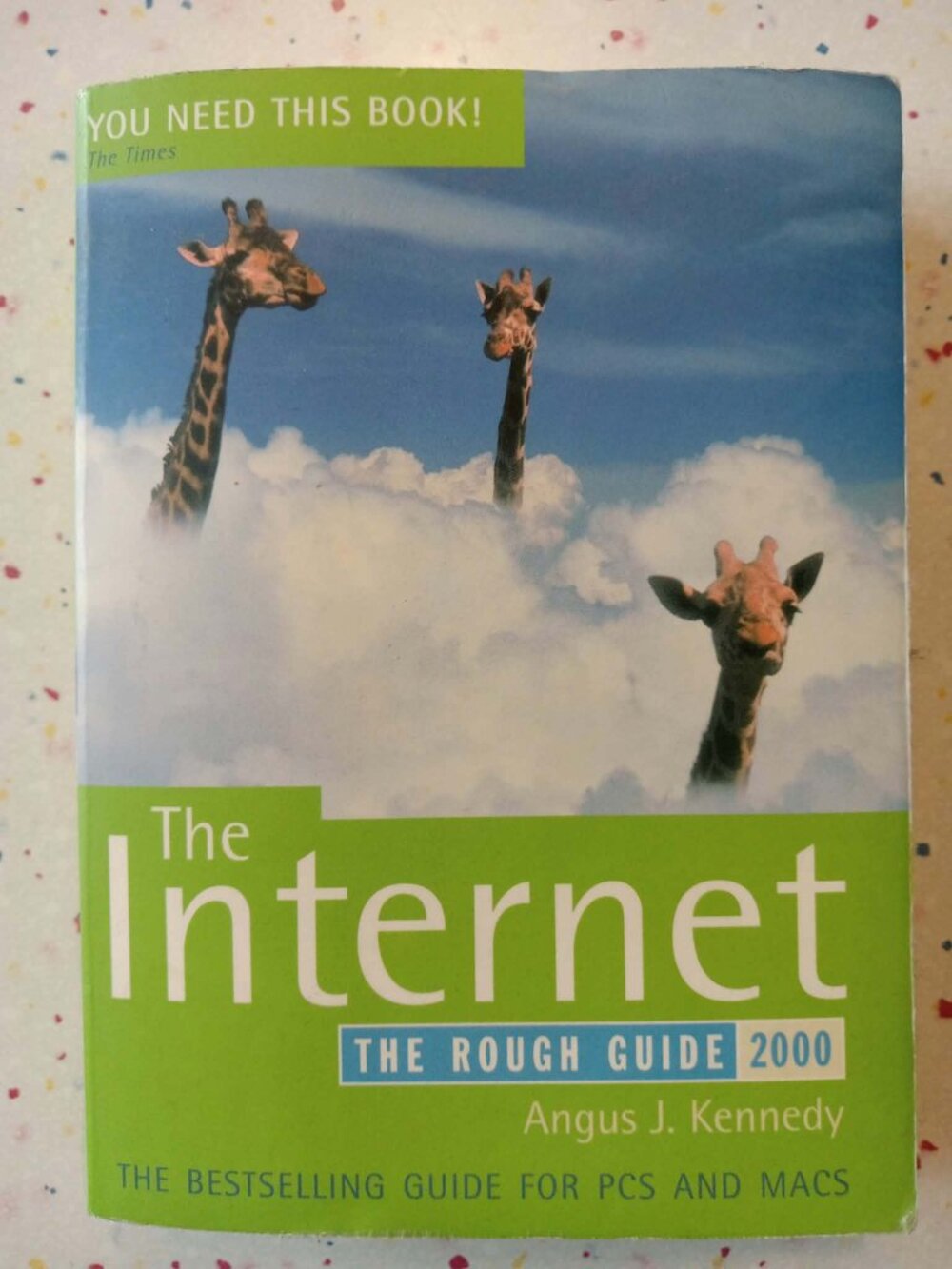 Year 2000 The Internet The Rough Guide